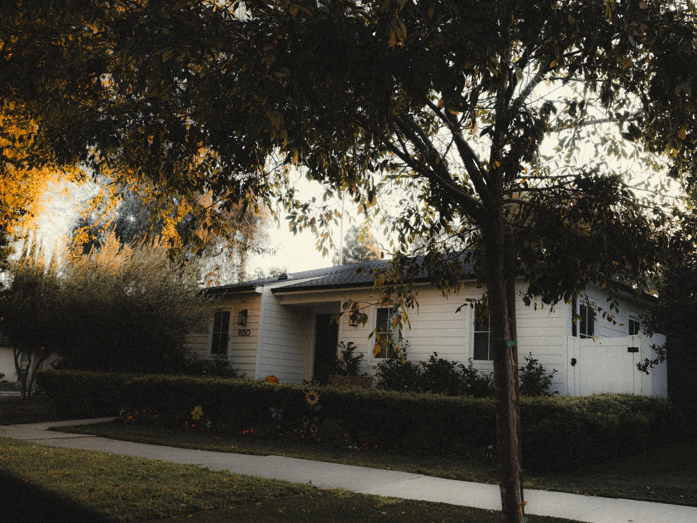White single-story house with large tree overhead and manicured hedges in front.